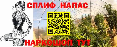 сатива Кулебаки