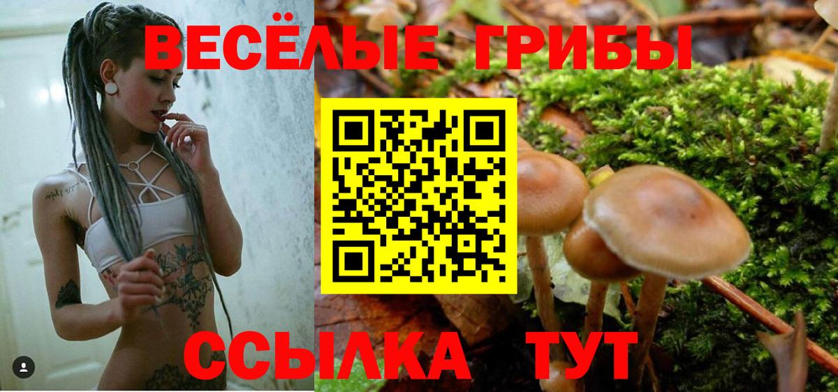 Галлюциногенные грибы ЛСД  Вход с VPN  Екатеринбург  Галлюциногенные грибы Psilocybe 